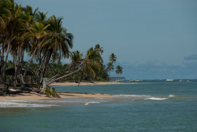 DSC_0461.jpg