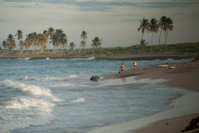 DSC_0513.jpg