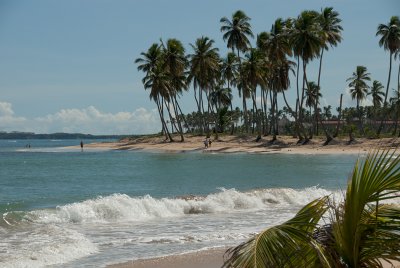 DSC_0454.jpg