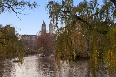 Falls in Central Park