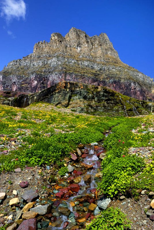 Small Stream Below Mt Clements