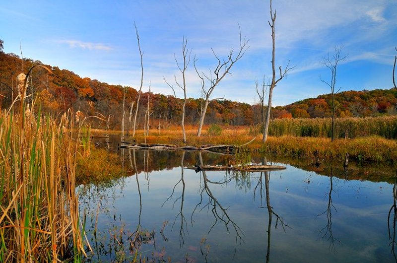 CVNP_20101024_199_.jpg