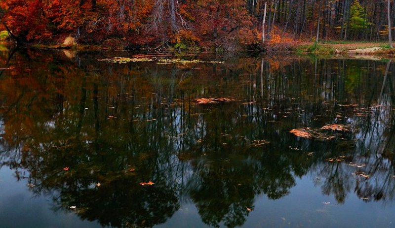 CVNP_20101024_235_.jpg