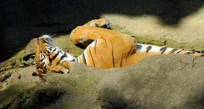 Back to Sleep