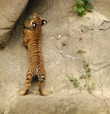 What's Up There