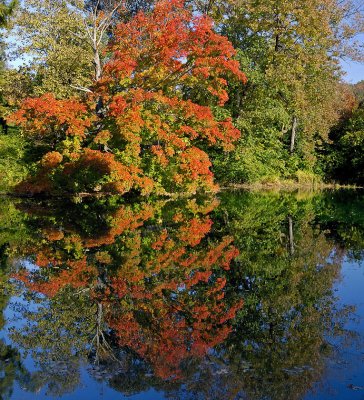 Spring Grove-2009-10-19_004.jpg