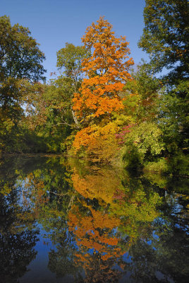 Spring Grove-2009-10-19_016.jpg