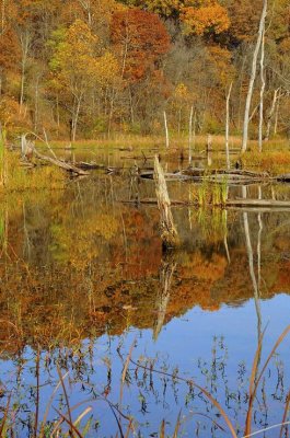 CVNP_20101024_196_.jpg