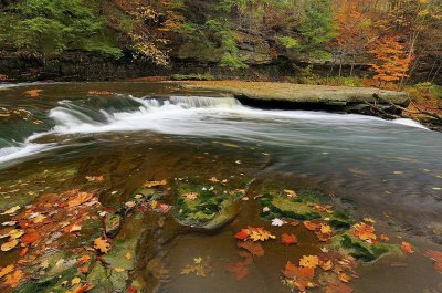 CVNP_20101026_087_.jpg