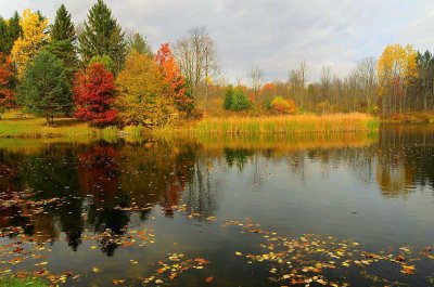 CVNP_20101026_103_.jpg