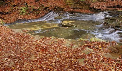 CVNP_20101027_150_.jpg