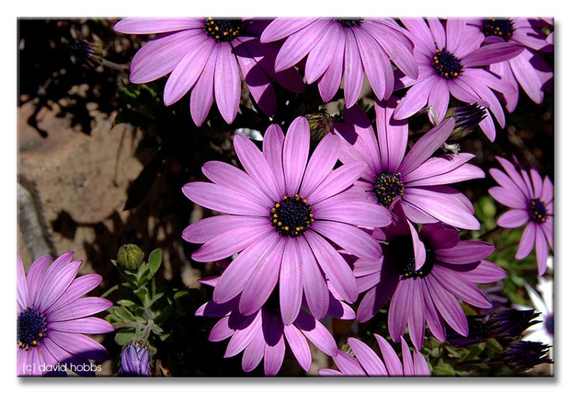30Sept10Bf.jpg