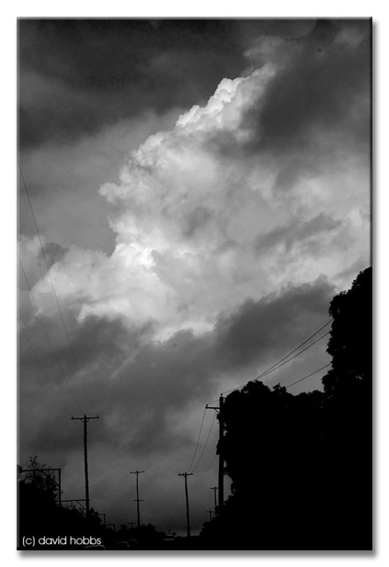 16Nov10Cm2f.jpg
