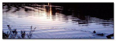 12 Sept 08pf.jpg