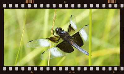 ND3_1757.jpg
