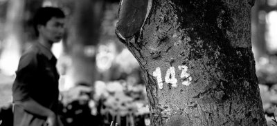 _MG_5106-Edit-2.jpg
