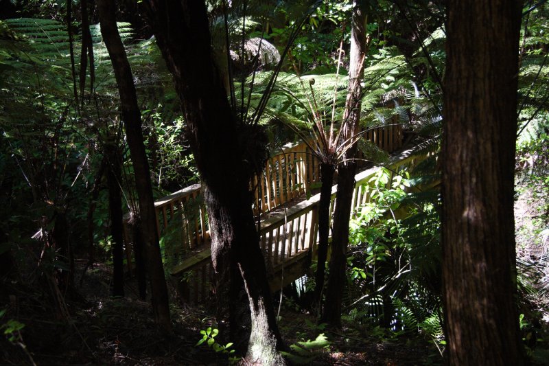 Bush bridge, Huia 0390r.jpg