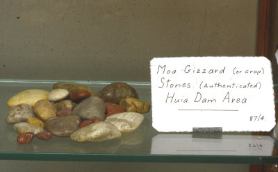Moa Gizzard Stones 7931
