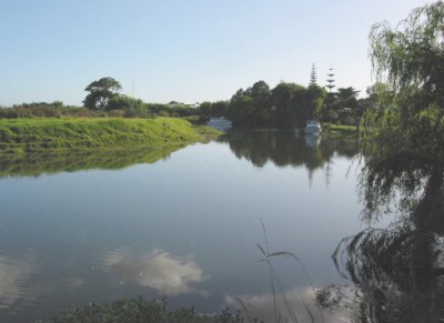Awanui River scene