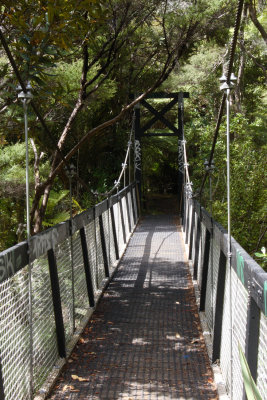 Swing Bridge Huia Stream 8246