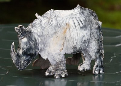 Durers Rhino by Isabel Sutherland