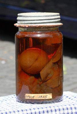 Peaches preserved 1935 8551