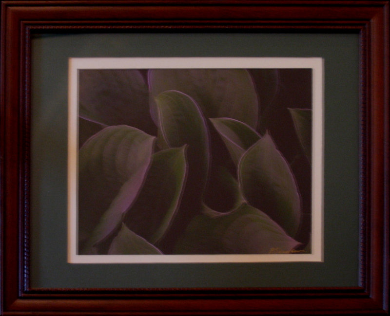 Metallic Hosta 6I Seroka Sale 65 Rent 5 11x15 Photograph.jpg