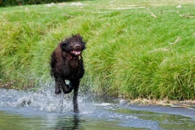 Full speed ahead!