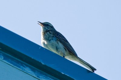 390E5079.jpg