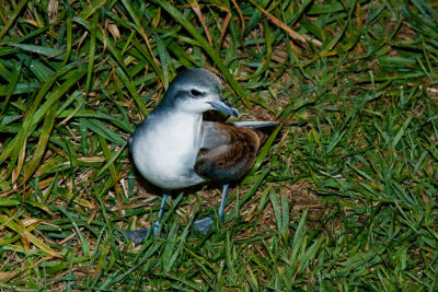 390E5716.jpg