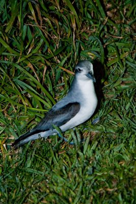 390E5717.jpg