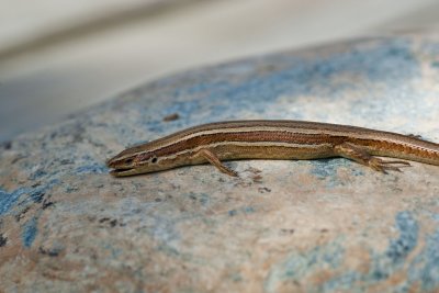 390E5786.jpg