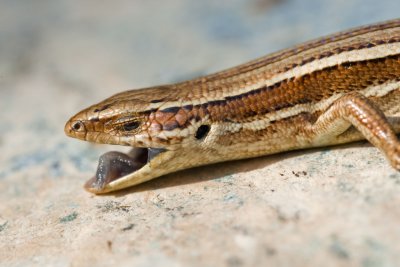 390E5796.jpg