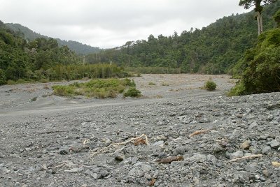 D15B3153.JPG