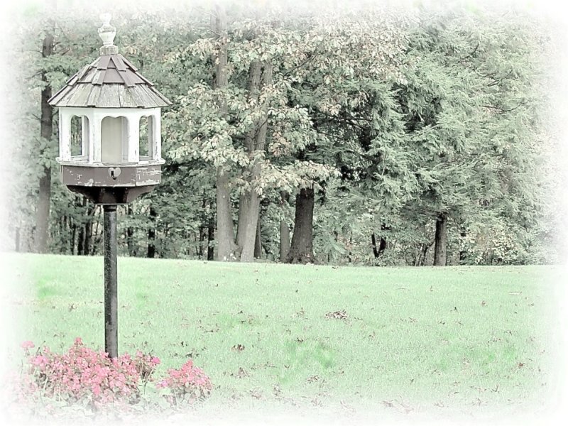 Empty Birdhouse - Photo Painting