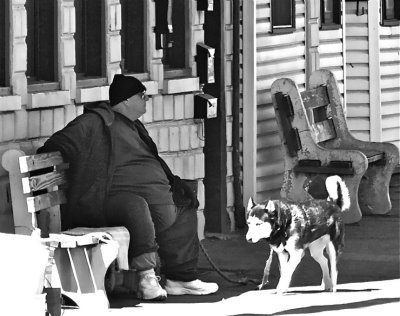 Honorary Mayor &  His Dog