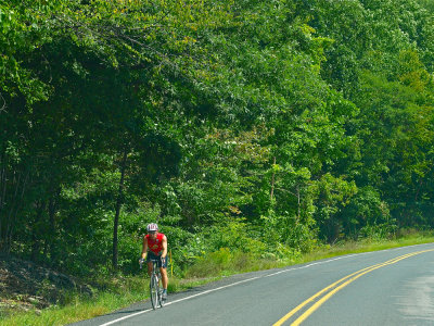 Riding In The Woods