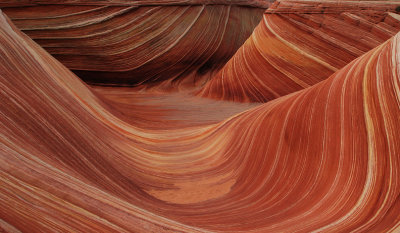 The Wave