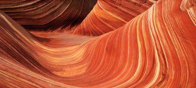 The Wave 4