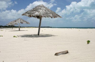 umbrellas at the beach-Barbuda