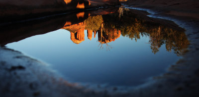Cathedral Rock-reflection 2-Sedona