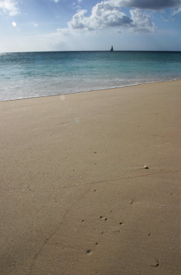 Darkwood Beach 3-Antigua