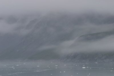 gray-Glacier Bay