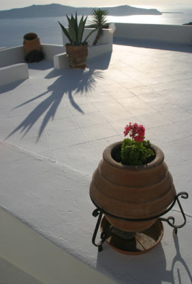 pots in the evening