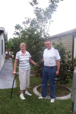 Visitors to Pine Island Cove