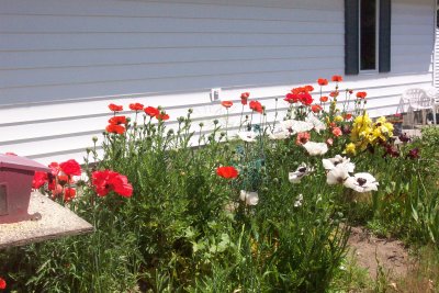 second shift flowers