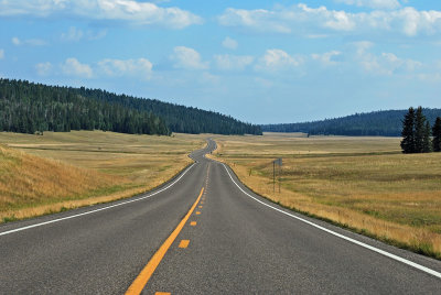 Road to Grand Canyon North Rim