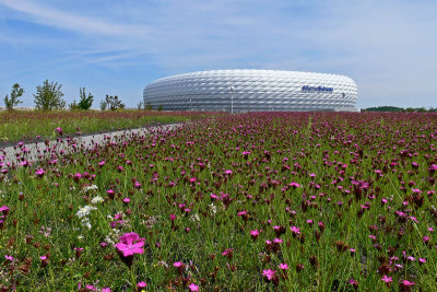 Allianz Arena