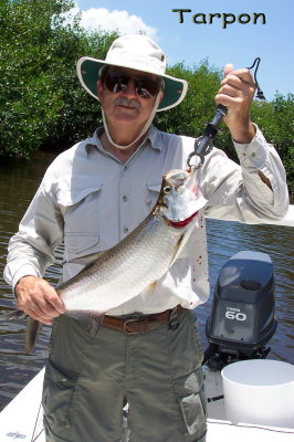 TARPON