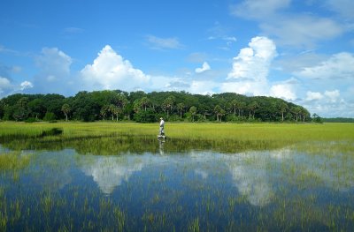 St.Augustine Grass  Flats Fishing
